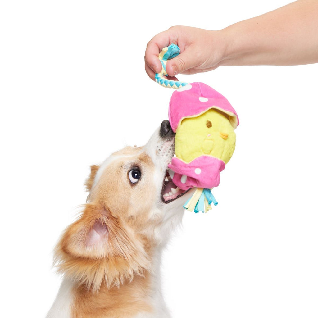 Peep-A-Bird Plush Tug Dog Toy