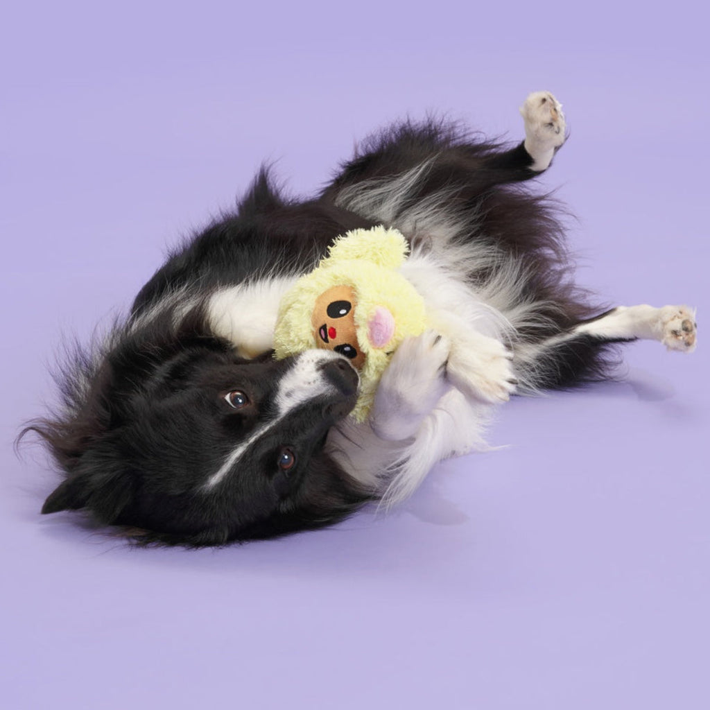 Trixie the Tricky Chicky Plush Dog Toy