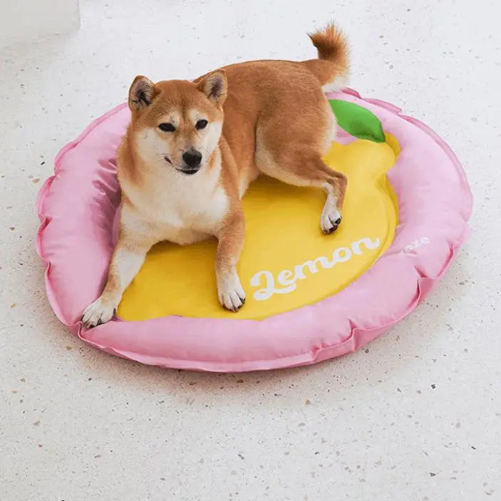 Pet Cooling Mat | Fun Fruit Patterned Summer Cooling Pad for Dogs & Cats