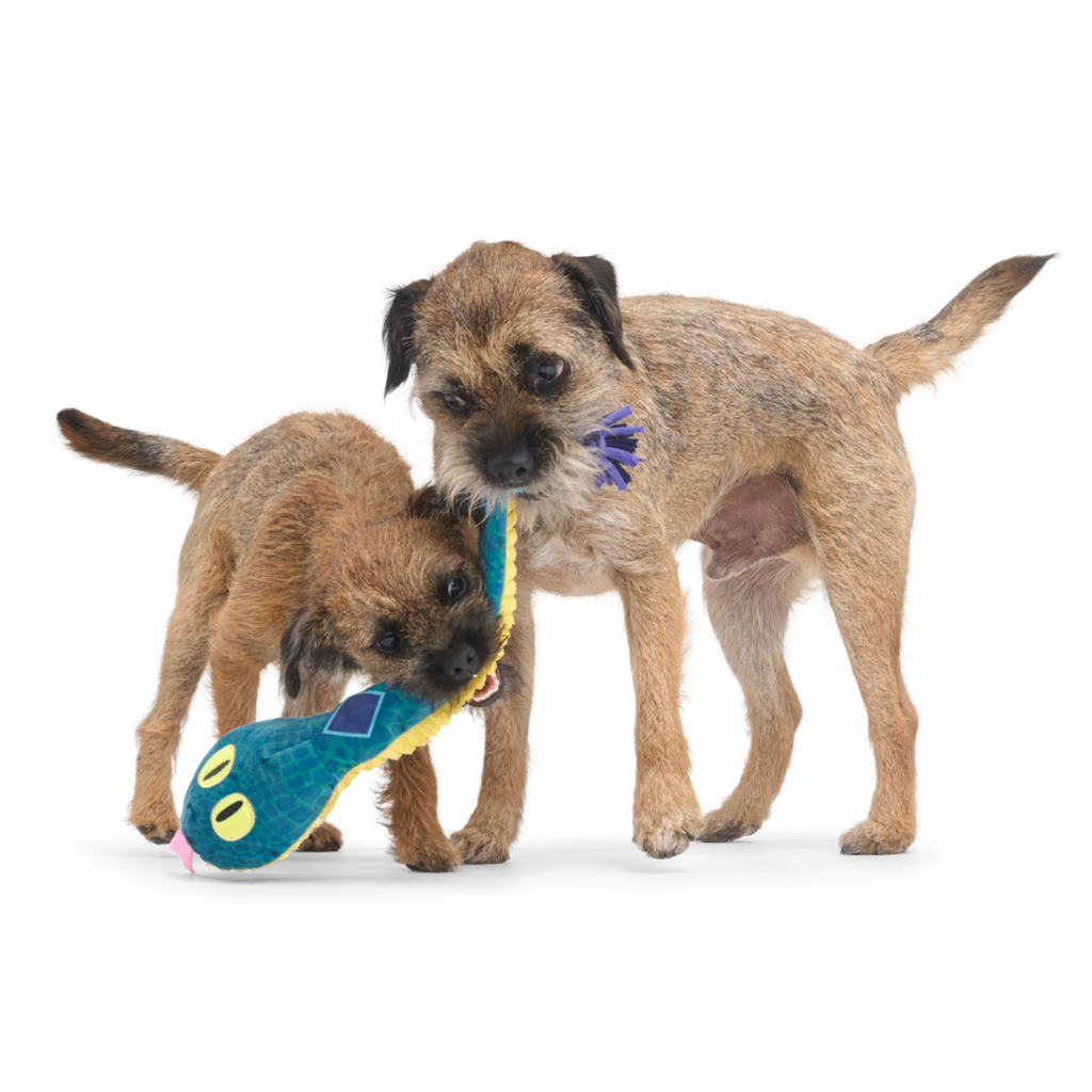 Bea The Titanoboa Plush Tug Dog Toy