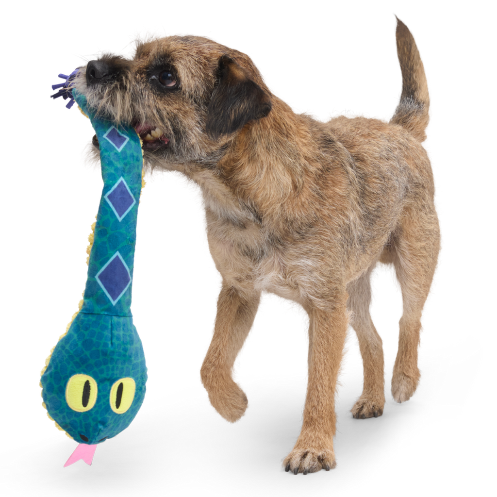 Bea The Titanoboa Plush Tug Dog Toy