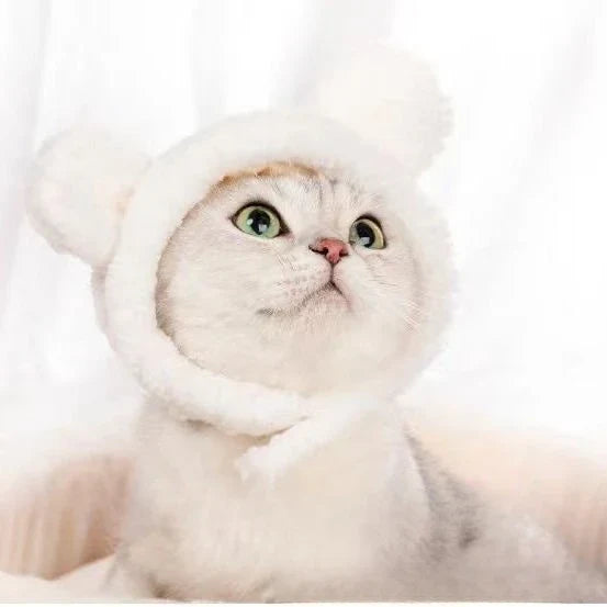 Funny Cat Hat | Plush Yarn Cosplay Cap