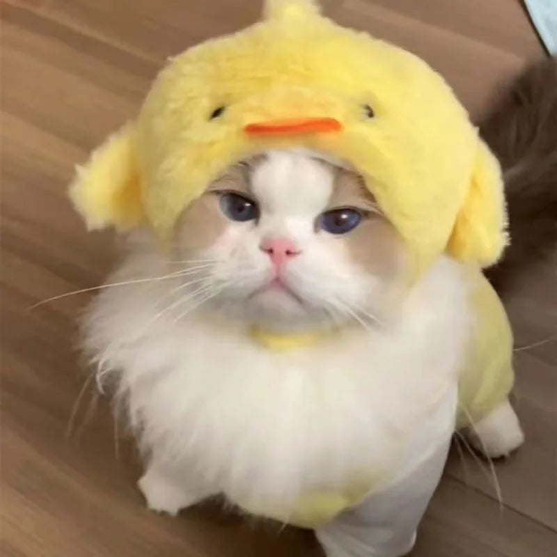 Funny Cat Hat | Plush Yarn Cosplay Cap
