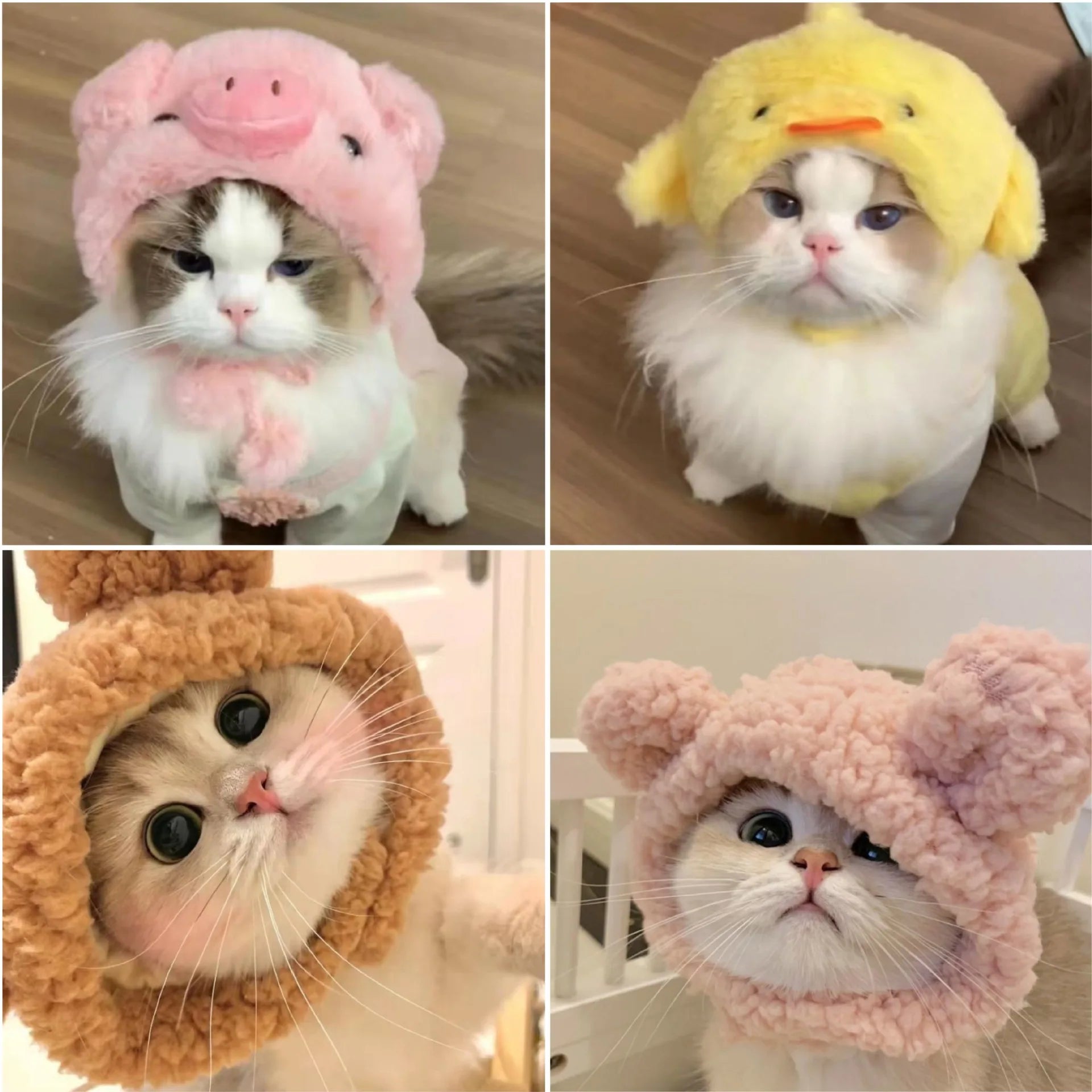 Funny Cat Hat | Plush Yarn Cosplay Cap