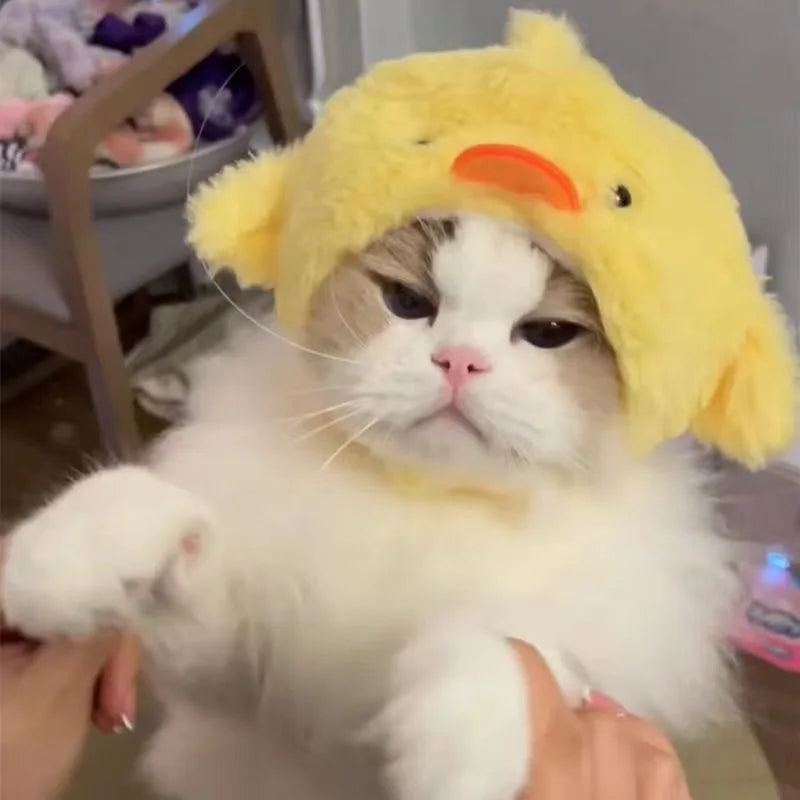 Funny Cat Hat | Plush Yarn Cosplay Cap