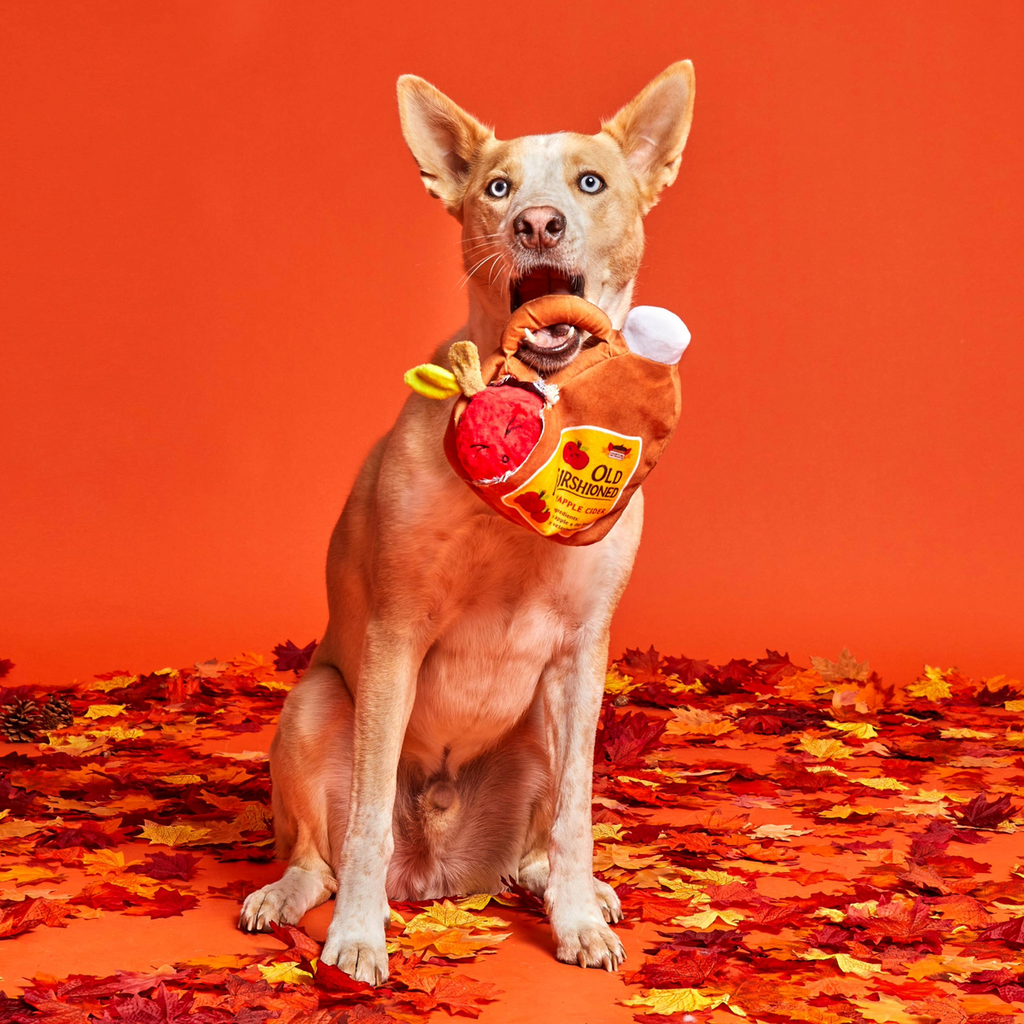 Old Furshioned Yapple cider Plush 2-in-1 Rip and Reveal Dog Toy