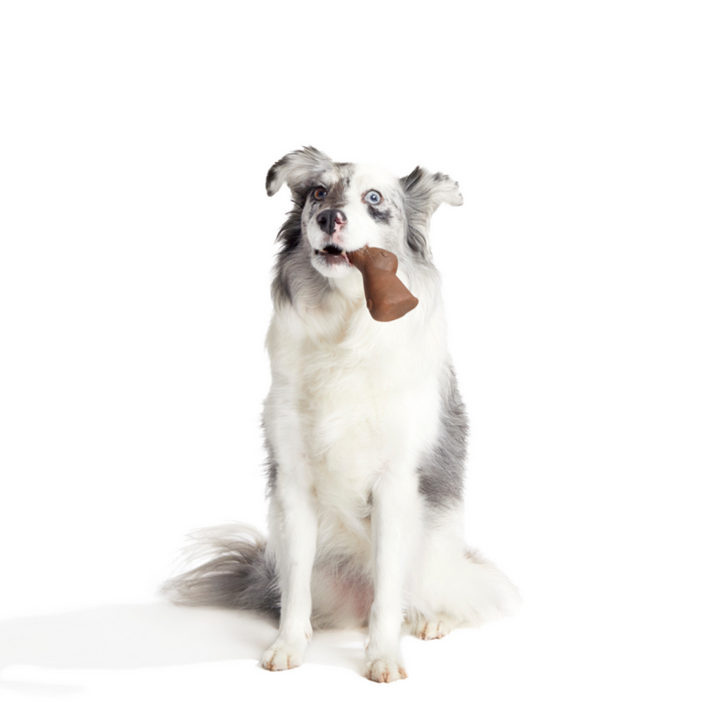 Yummy Bunny Durable Super Chewer Gnaw Dog Toy
