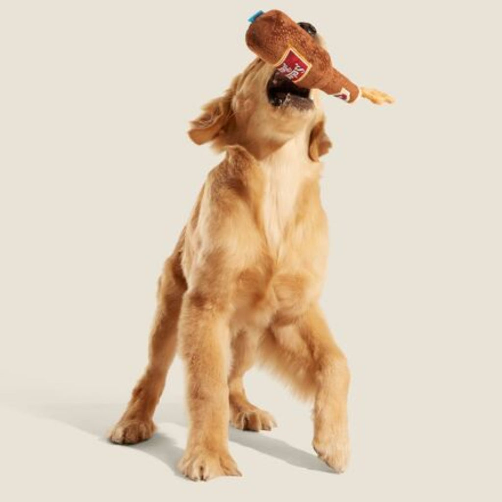 Old Fashioned Sploot Beer Plush Dog Toy