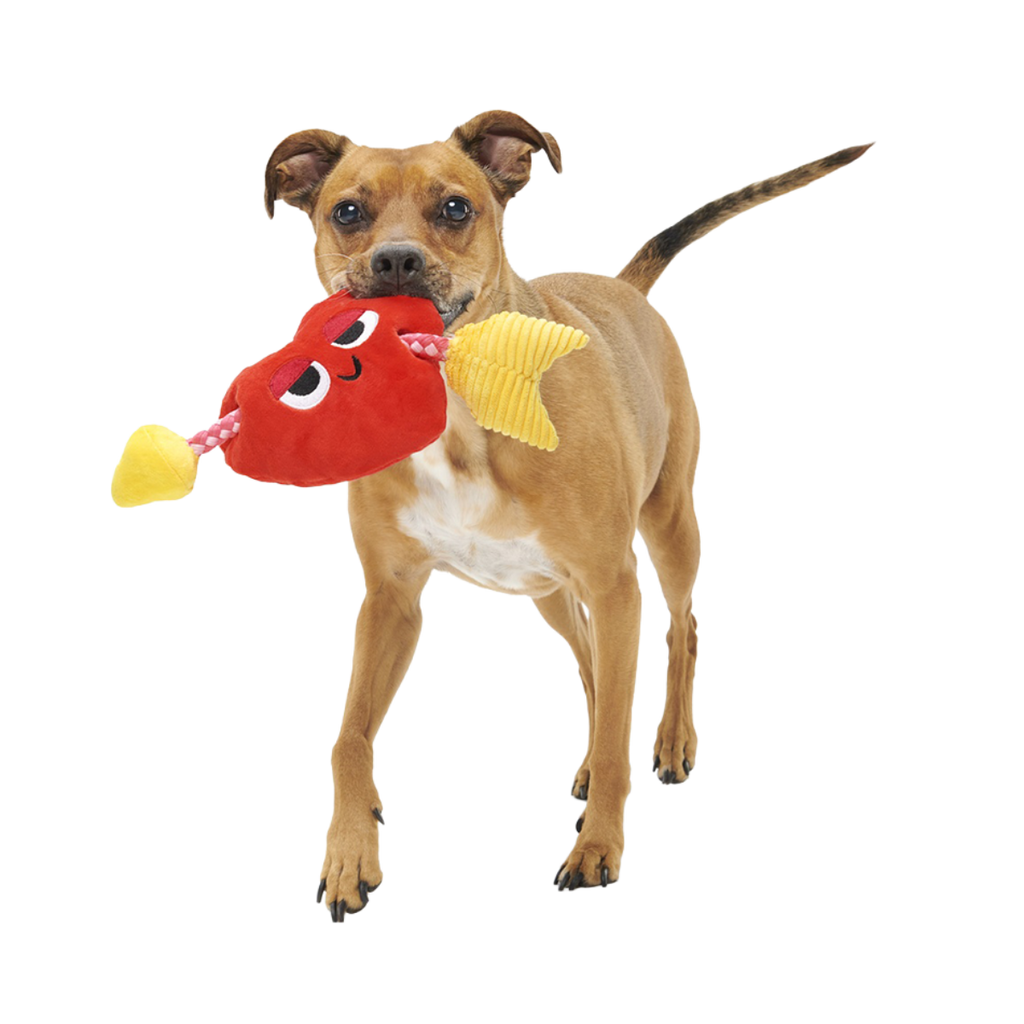 Heart Throbert Plush Tug Dog Toy